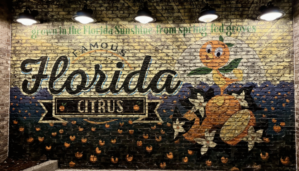 Why Vinyl Wall Coverings Beat Wallpaper in Environmental Graphic Design