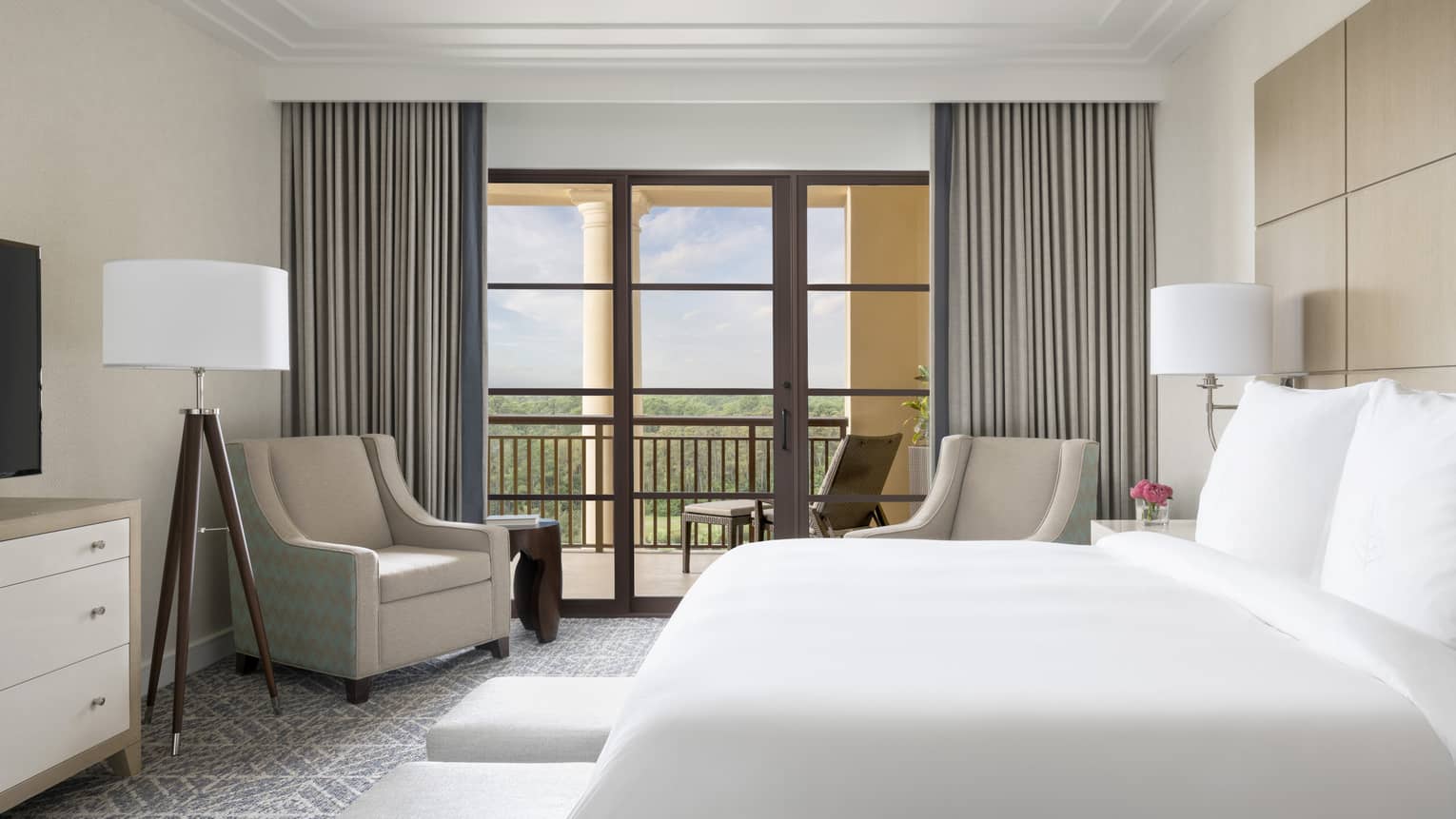 Park View Suite