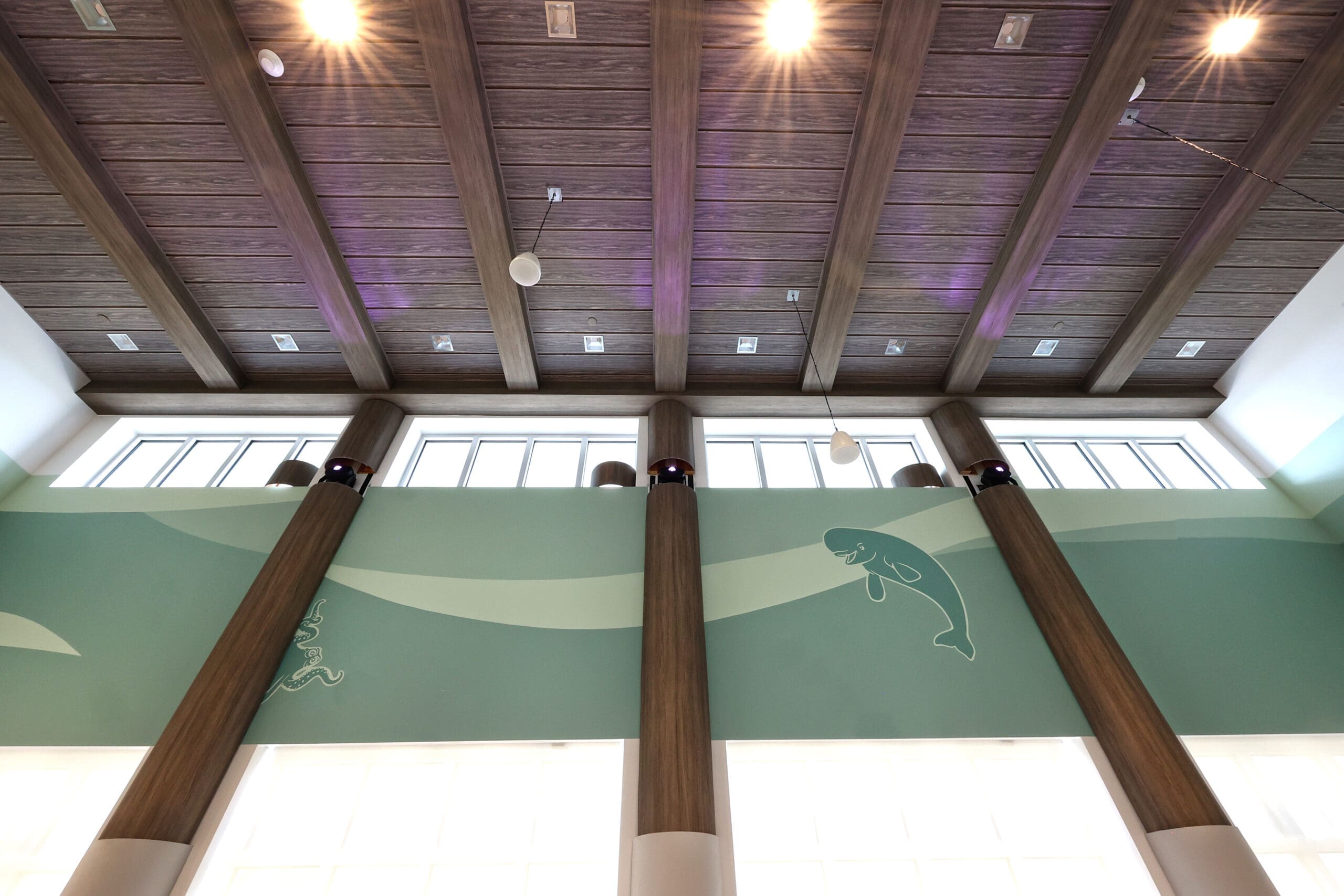 disney flamingo crossing