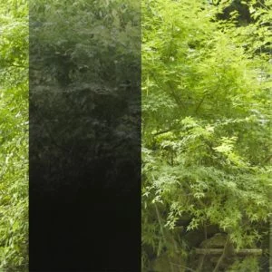 3M™ Fasara™ Gradation - Illumina Black