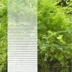 3M™ Fasara™ Gradation - Venetian
